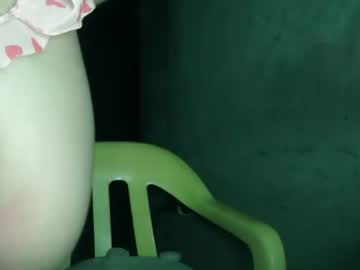 kitten punches0