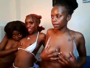 kittyrose 20