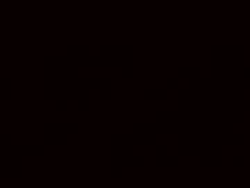 wettkitt1